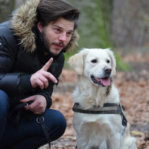 A man interacts with a Golden Retriever dog in a vibrant, autumn forest setting.
